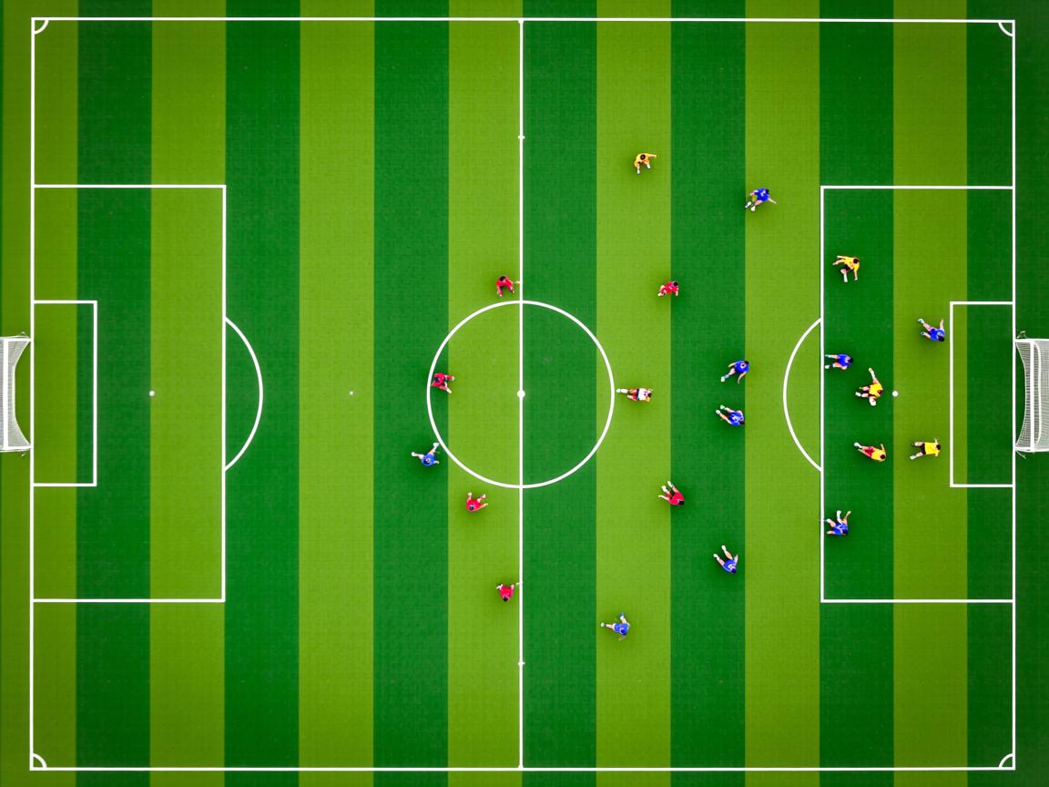 九游官网入口-体育明星跨界参与综艺热度不减，体育明星专访  第3张