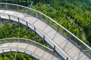 九游.中国官网-“飞盘：三叉湖赛场飞扬，速度与技巧成就精彩”  第2张